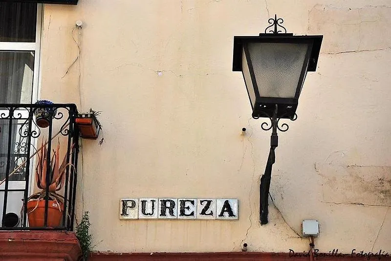 Pureza Triana 88 Apartment Seville 0*,